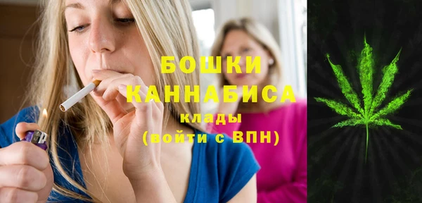 прущие грибы Балахна