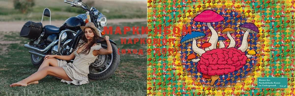 прущие грибы Балахна