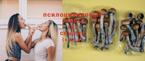 прущие грибы Балахна